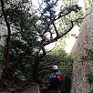 Preparados para bajar la cadena vertical dels Ecos -unos 15 metros- / Blog · Integral de los Ecos | Montserrat 