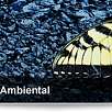Instituto Aragonés de Gestión Ambiental / Blog · Pasos previos para implantar bien una vía ferrata 