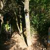 En el collado del Pas del Rei seguimos GR y flechas amarillas / Ruta a pie De Barcelona a Sant Cugat por el camino de Santiago 