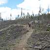 Zona de bosque devastada de camino a Little Devils Tower / Ruta a pie Black Hills | Harney Peak | Cathedral Spires 