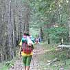 En el bosque previo a la subida al Ferrús / Ruta a pie Camí dels Bons Homes 