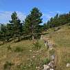 Al día siguiente día despejado bajamos hacia Bagà / Ruta a pie Camí dels Bons Homes 