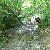 Continuamos con el camino embarrado / Ruta a pie Camí dels Bons Homes 