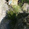 Subiendo al Capluc por las escaleras / Ruta a pie Cornisas del Tarn y de la Jonte 