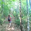 Subiendo por el hayedo junto a los riscos / Ruta a pie Cingles de Malanyeu 
