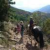 Se pueden alquilar burros para subir / Ruta a pie El lago de Creno 