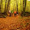 Caminando por la Fageda d en Jordà / Ruta a pie El volcán Croscat y La Fageda 