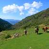 Foto hípica / Ruta a pie Gorges del Segre y Ermita de Sant Feliu de Castelvell 