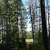 Seguiremos por la orilla del estanque Heron / Ruta a pie Grand Teton National Park | Por las orillas del lago Jackson 