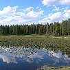 El estanque Heron / Ruta a pie Grand Teton National Park | Por las orillas del lago Jackson 