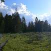 Los tramos de bosque se intercalan con zonas de prados abiertos / Ruta a pie Grand Teton National Park | Por las orillas del lago Jackson 