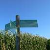 Seguiremos el indicador al Tossal de les Forques desde Montgai / Ruta a pie Trincheras de la guerra civil en la sierra de Bellmunt 