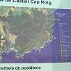 Croquis de los senderos de la zona -seguimos el azul para la ida y el rosa para el regreso- / Ruta a pie Costa Brava | Palamós | Cala Estreta 