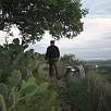 Señales del PR y las chumberas que todo lo invaden / Ruta a pie Camí dels Lladres | Sagunto 