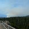 Vista de un incendio preventivo en el Giant Forest / Ruta a pie Sequoia National Park | Bosque gigante de secuoyas  