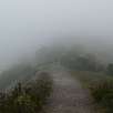 Subiendo al Montcau con esta niebla decidimos visitar la cueva simanya para aprovechar mejor el día / Ruta a pie La cueva Simanya 