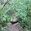 Dejamos el GR a nuestra derecha y nos desviamos hacia la cueva Simanya / Ruta a pie La cueva Simanya 