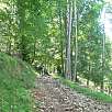 Rampas de subida a la pista del Roc de la Lluna / Ruta a pie Vuelta al Catllaràs 