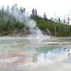 Piscinas Termales / Ruta a pie Yellowstone | Norris Geyser Basin 