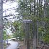 Indicadores / Ruta a pie Yellowstone | Norris Geyser Basin 