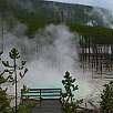 Piscina termal turquesa / Ruta a pie Yellowstone | Norris Geyser Basin 