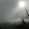 Se esconde el sol entre los vapores / Ruta a pie Yellowstone | Norris Geyser Basin 