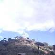 Sant Pere Màrtir 