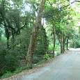 Bajada de Sant Medir 
