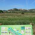 Zona restaurada del río cerca del Papiol 