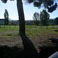 Pineda y zona de picnic de Can Cabanyes 
