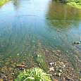 Cruzando un paso bajo del recién nacido río Besòs 