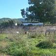 Caballos junto al Besòs 