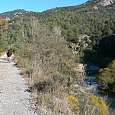Seguimos avanzando al costado del río 