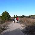 Rodeados de campos 