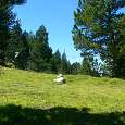En el collado d