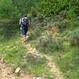 Dejamos la pista y seguimos por el atajo -señalizado con hitos y postes azules- 