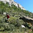 De regreso al Jou - las vacas reclaman su sitio -  
