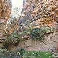 Paso clave antes de la cascada 