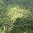 La sombra del techo se proyecta en el bosque 