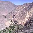 2. A la izquierda vemos el camino que sube de nuevo a Cabanaconde y en el centro el Oasis! 