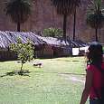 2. La cabañas del Oasis 