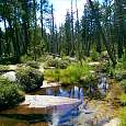 Imágenes del torrente del Orri 