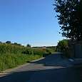 Caminamos junto a campos de maiz 
