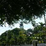 Una vuelta por Key West