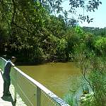 El pantano de Can Borrell