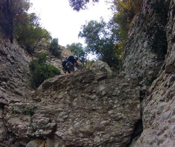 Camí del Llorer