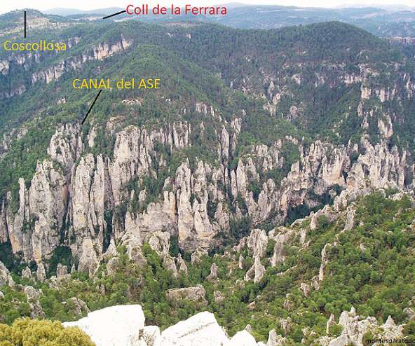 Canal de l