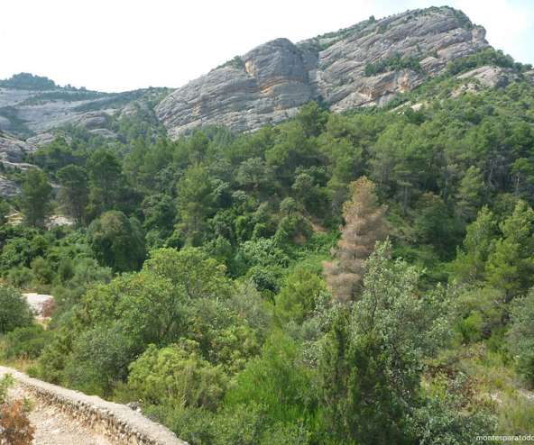 Canal del Magí
