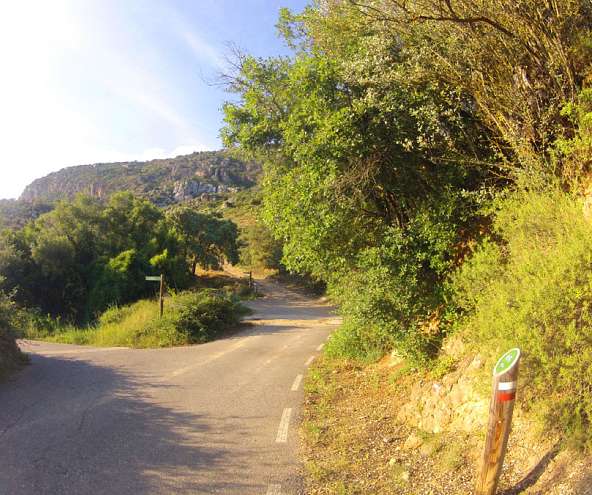 Canal de los Olmos
