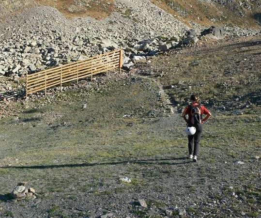 Coll dels Isards